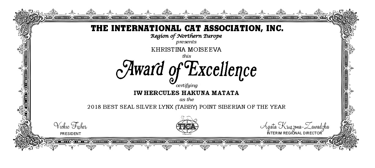 sertificate Best siberian neva masquerade cat TICA