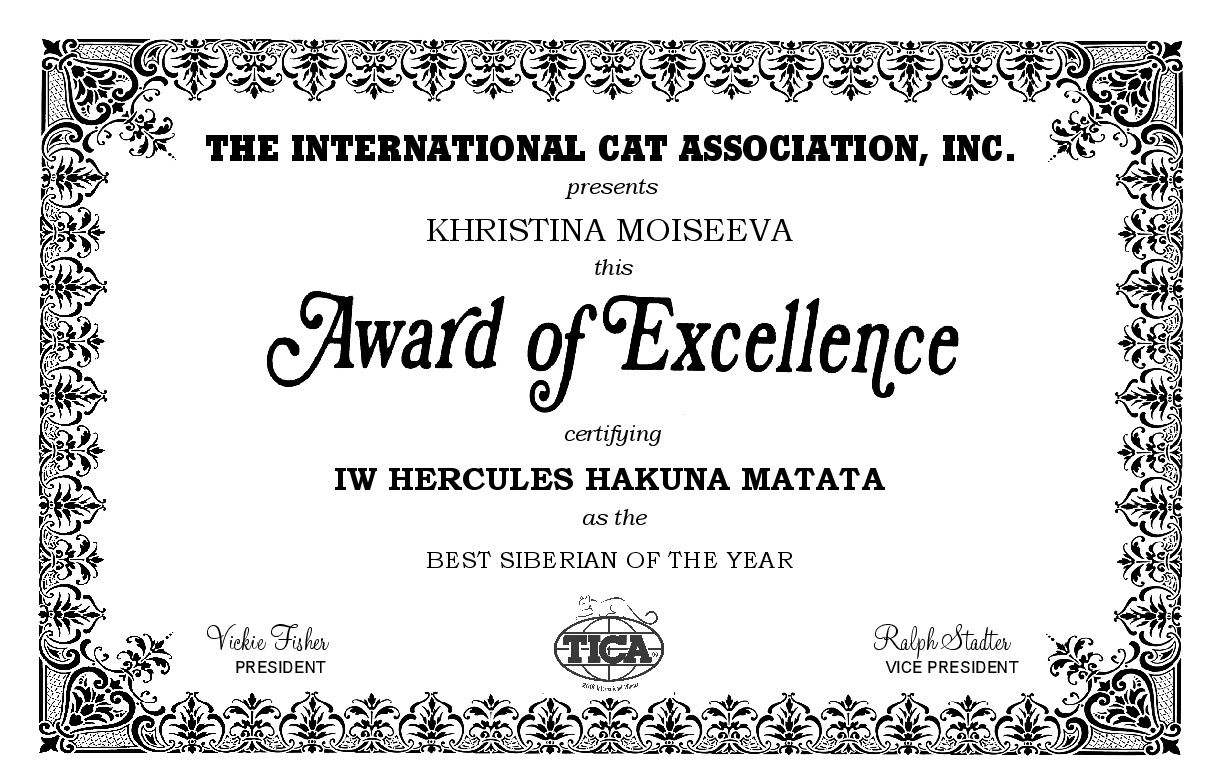 sertificate Best siberian neva masquerade cat breeder TICA